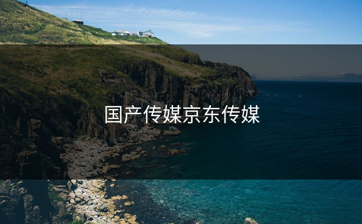 国产传媒京东传媒