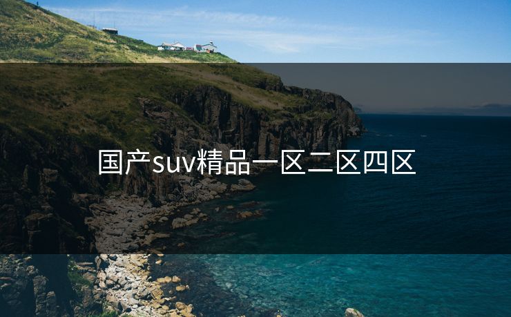 国产suv精品一区二区四区 国产suv精品一区二区四区
